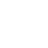 Danish Superliga badge
