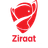 Turkish Cup badge