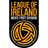 Irish First Division badge