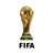 FIFA World Cup badge
