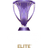 AFC Champions League Elite badge