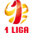 Polish I liga badge