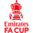 FA Cup badge
