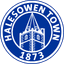 Halesowen Town badge