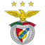 Benfica badge