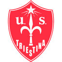 Triestina badge