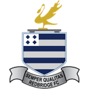Redbridge badge