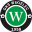 Wikielec badge