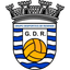 GD Resende badge