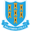 Ballymena United badge