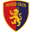Potenza badge
