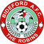 Bideford badge