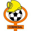 Cobresal badge