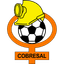 Cobresal badge