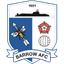 Barrow badge