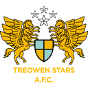 Treowen Stars badge
