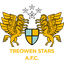 Treowen Stars badge