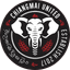 Chiangmai United badge
