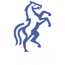 Politehnica Iași badge