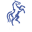 Politehnica Iași badge