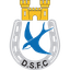 Dungannon Swifts badge