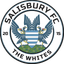 Salisbury badge