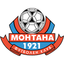 Montana badge