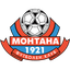 Montana badge