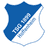 Hoffenheim badge