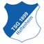 Hoffenheim badge
