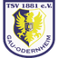 Gau-Odernheim badge