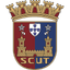 Torreense badge