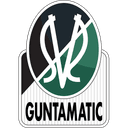 SV Ried badge