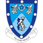 Rugby Town badge