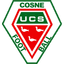 Cosne badge