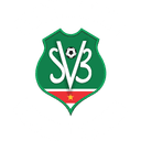 Suriname badge