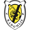 Radomlje badge