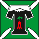 Deportes Temuco badge