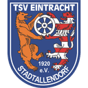 Eintracht Stadtallendorf badge