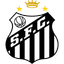 Santos badge