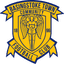 Basingstoke Town badge