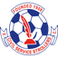 Civil Service Strollers badge