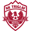 Triglav Kranj badge