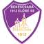 Békéscsaba badge