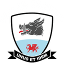 Baglan Dragons badge