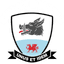 Baglan Dragons badge