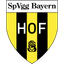 Bayern Hof badge