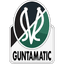 Junge Wikinger Ried badge