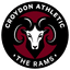 AFC Croydon Athletic badge