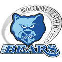 Broadbridge Heath badge